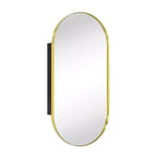 TEHOME Daisy-Mai Oval Pill Shape Metal Framed Recessed Medicine Cabinet with Mirror